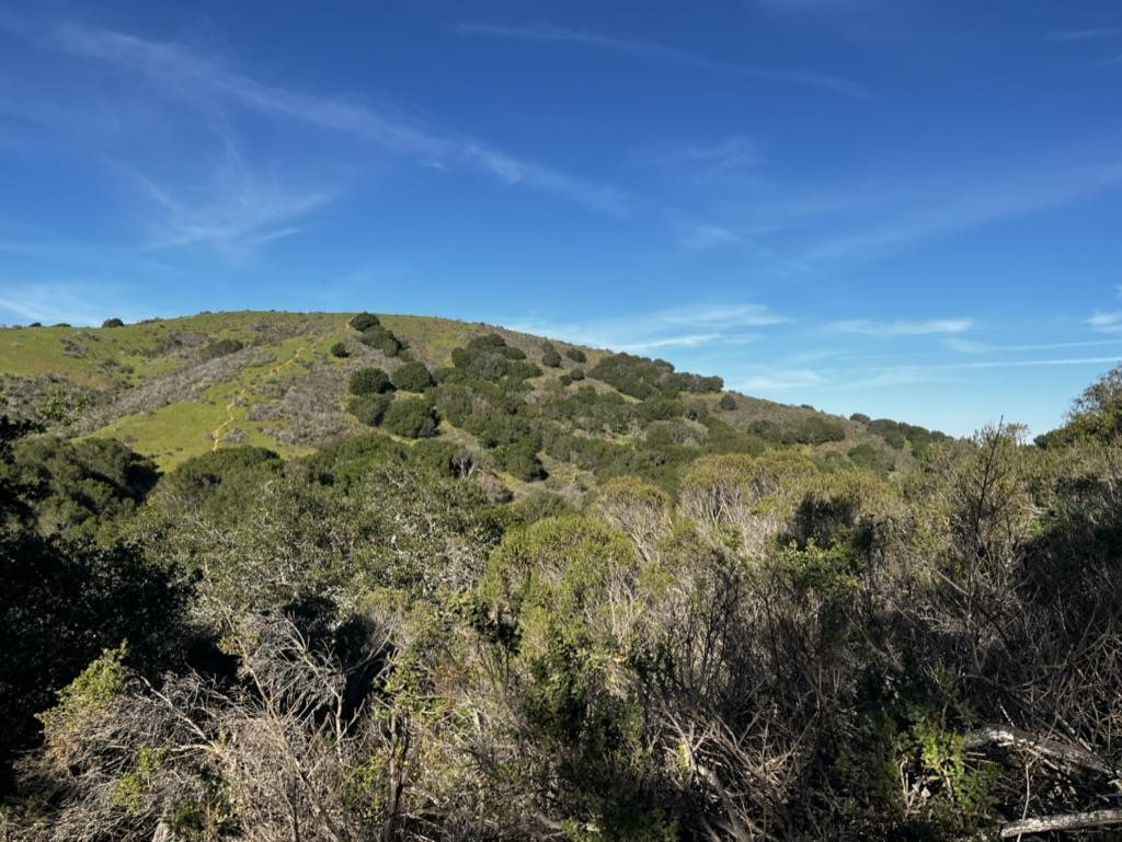 0000 Bartlett Way, Belmont, CA, 94002