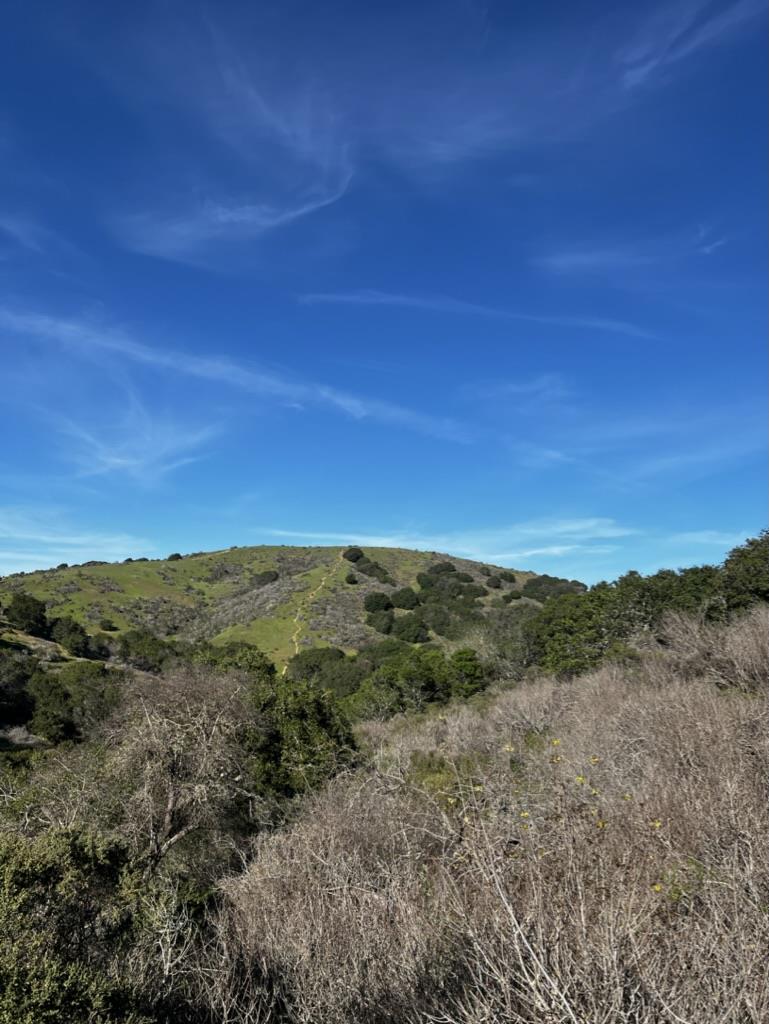 0000 Bartlett Way, Belmont, CA, 94002