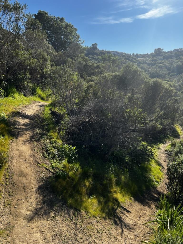 0000 Bartlett Way, Belmont, CA, 94002