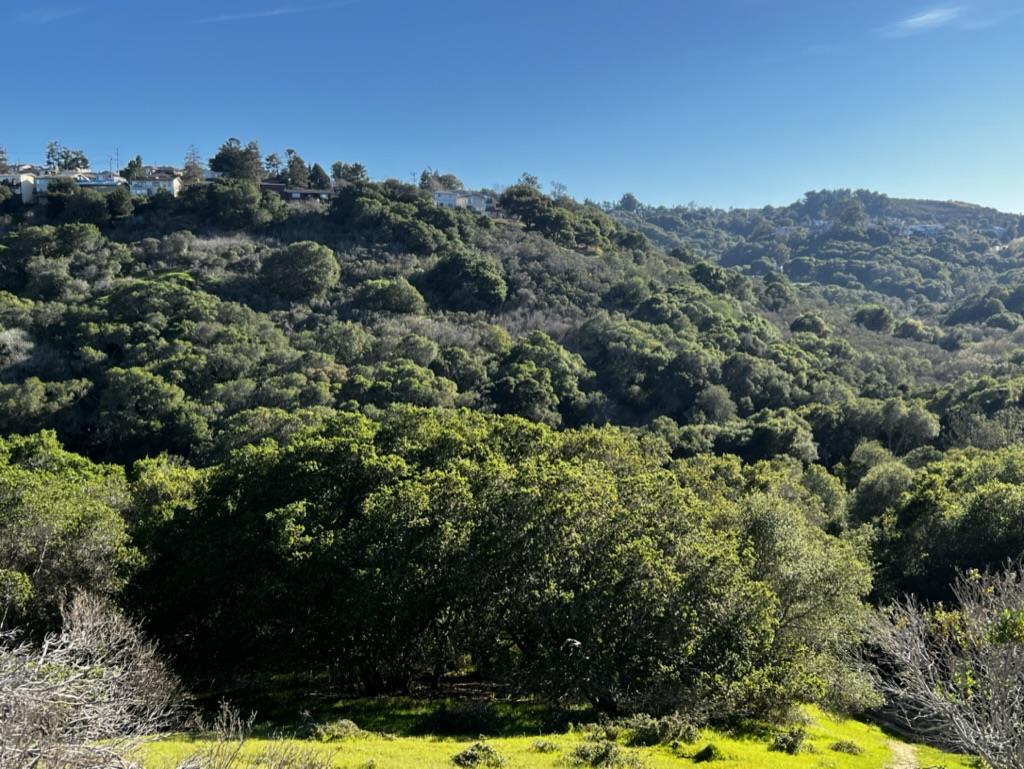 0000 Bartlett Way, Belmont, CA, 94002