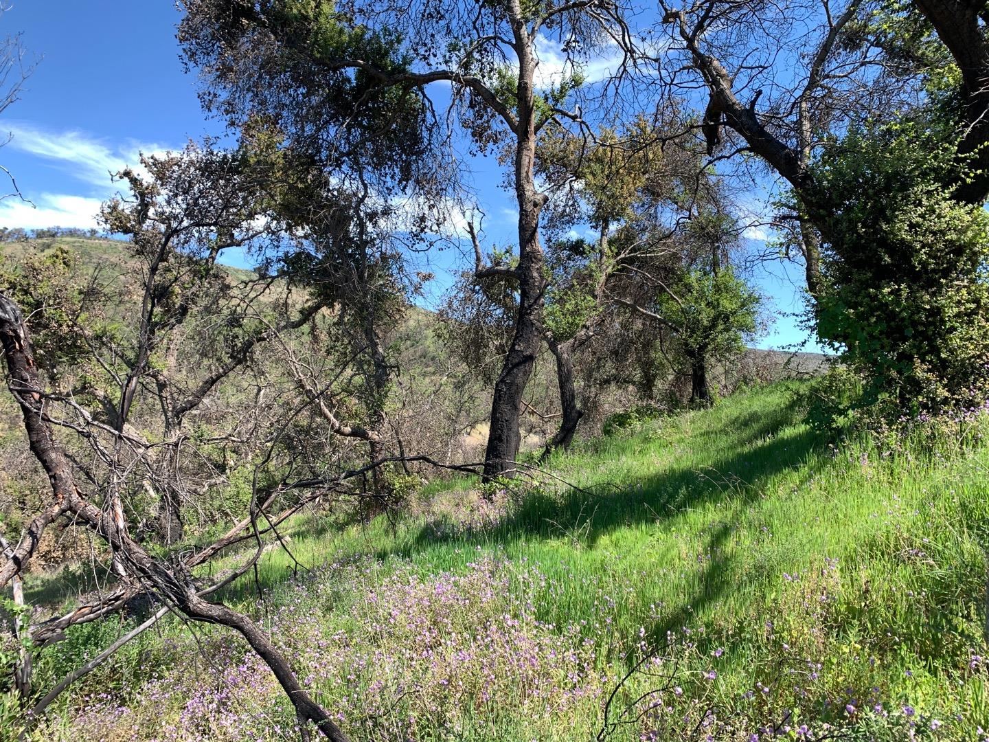 Detail Gallery Image 12 of 14 For 0 Cachagua, Carmel Valley,  CA 93924 - – Beds | – Baths