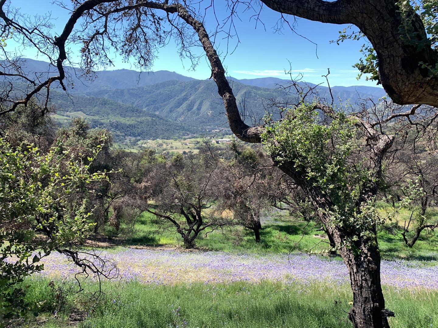 0 Cachagua, Carmel Valley, California 93924, ,Land,For Sale,0 Cachagua,ML81884266