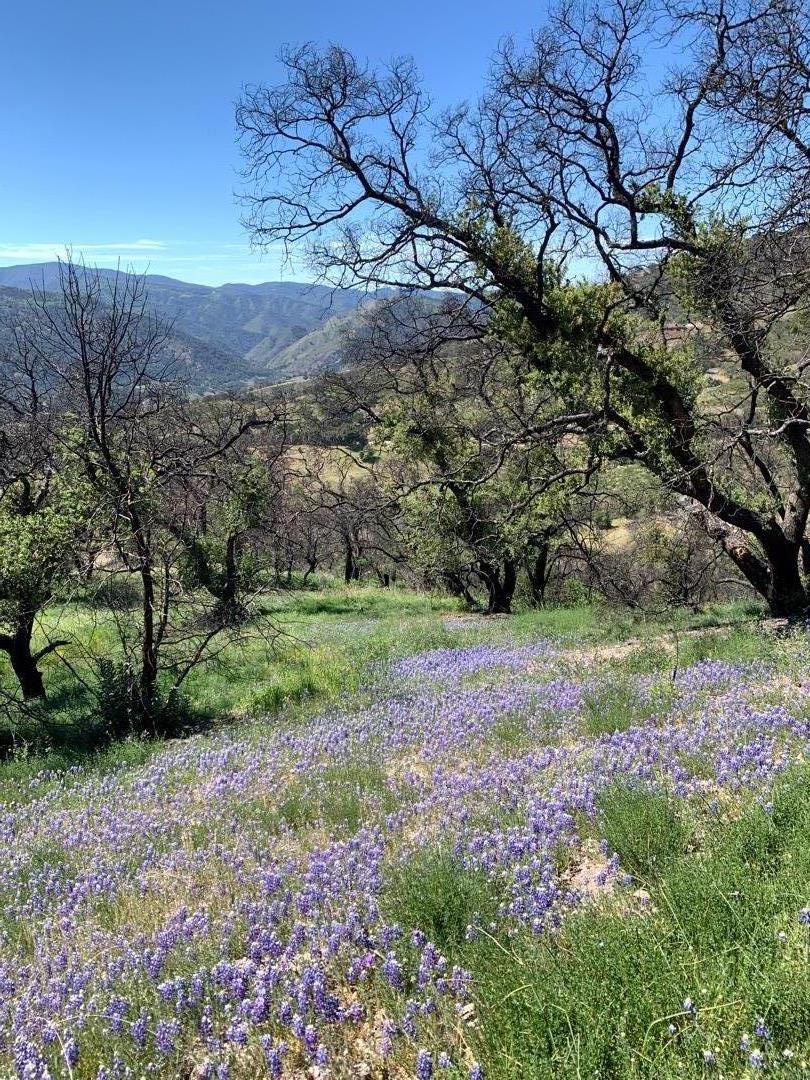 Detail Gallery Image 8 of 14 For 0 Cachagua, Carmel Valley,  CA 93924 - – Beds | – Baths