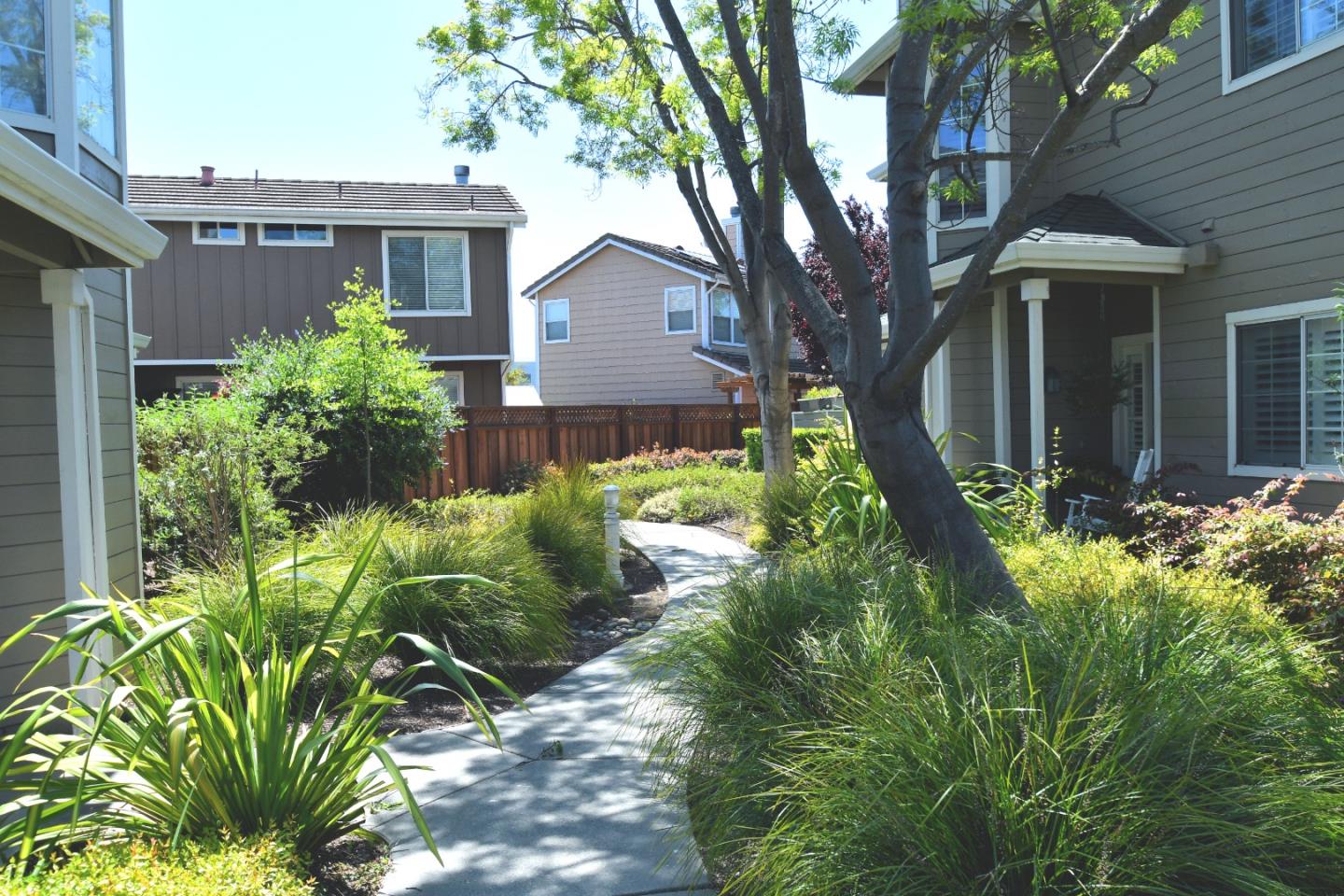 Detail Gallery Image 1 of 1 For 317 Treasure Island Dr, Belmont,  CA 94002 - 3 Beds | 2/1 Baths