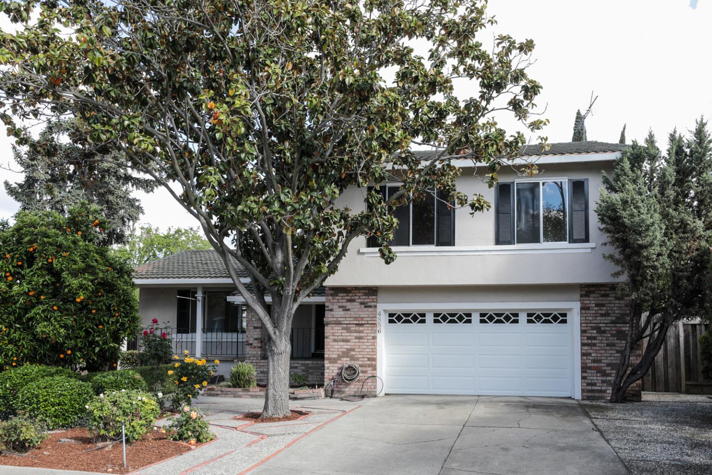 Detail Gallery Image 1 of 1 For 4856 Birmingham Dr, San Jose,  CA 95136 - 4 Beds | 2/1 Baths