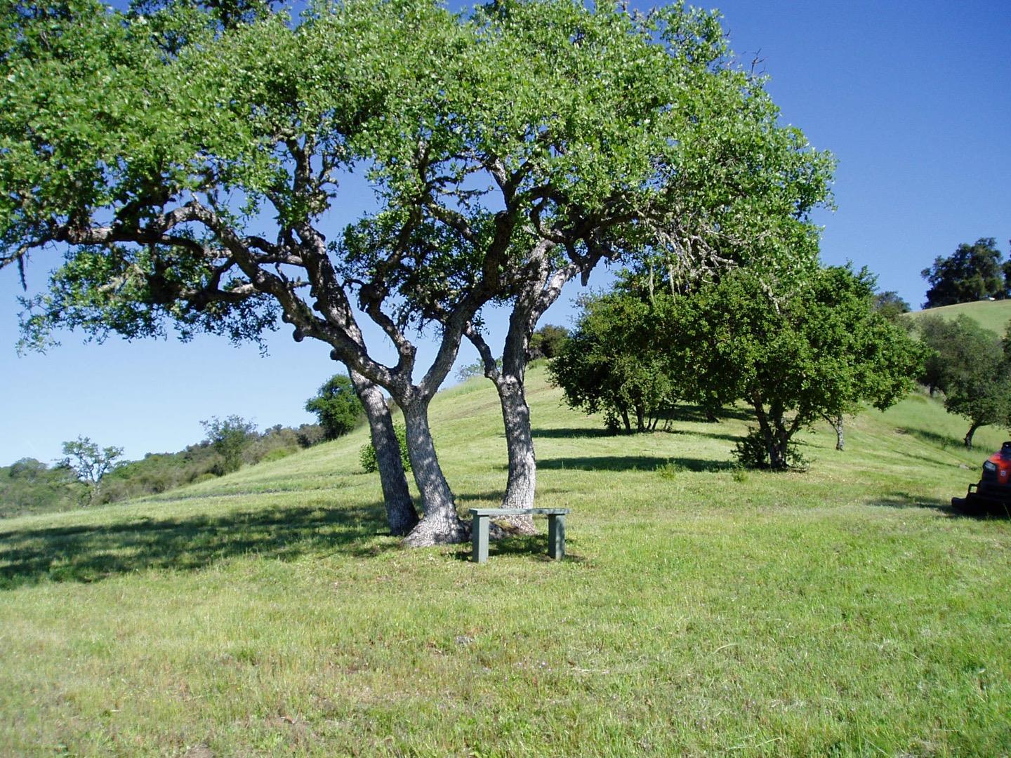 Detail Gallery Image 3 of 30 For 74 Asoleado Dr, Carmel Valley,  CA 93924 - – Beds | – Baths