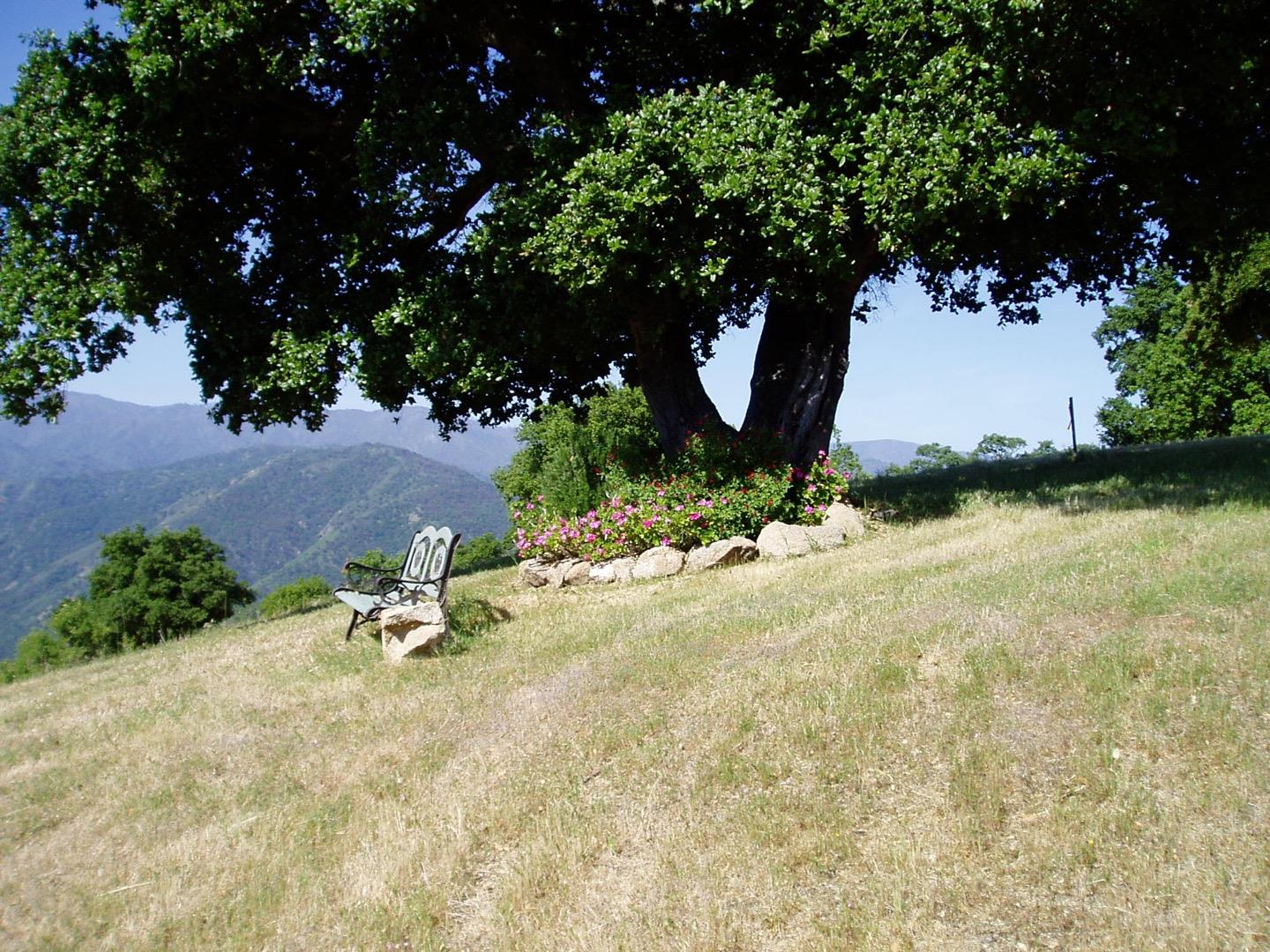 Detail Gallery Image 6 of 30 For 74 Asoleado Dr, Carmel Valley,  CA 93924 - – Beds | – Baths