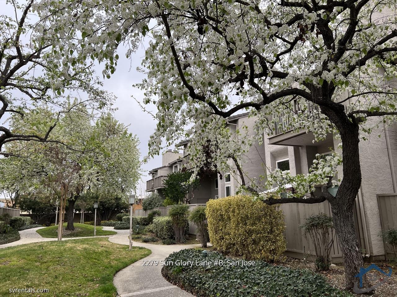 Detail Gallery Image 1 of 1 For 2279 Sun Glory Ln #B,  San Jose,  CA 95124 - 2 Beds | 2 Baths