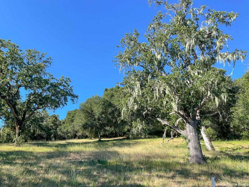 Detail Gallery Image 12 of 15 For 34221 Robinson Canyon Rd, Carmel,  CA 93923 - – Beds | – Baths