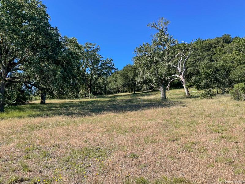 34221 Robinson Canyon Road, Carmel, CA, 93923