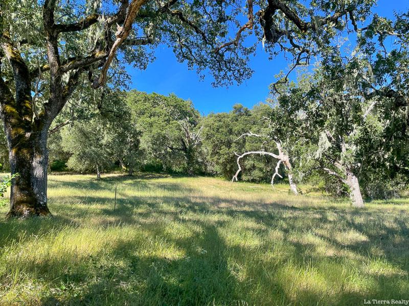 34221 Robinson Canyon Road, Carmel, CA, 93923