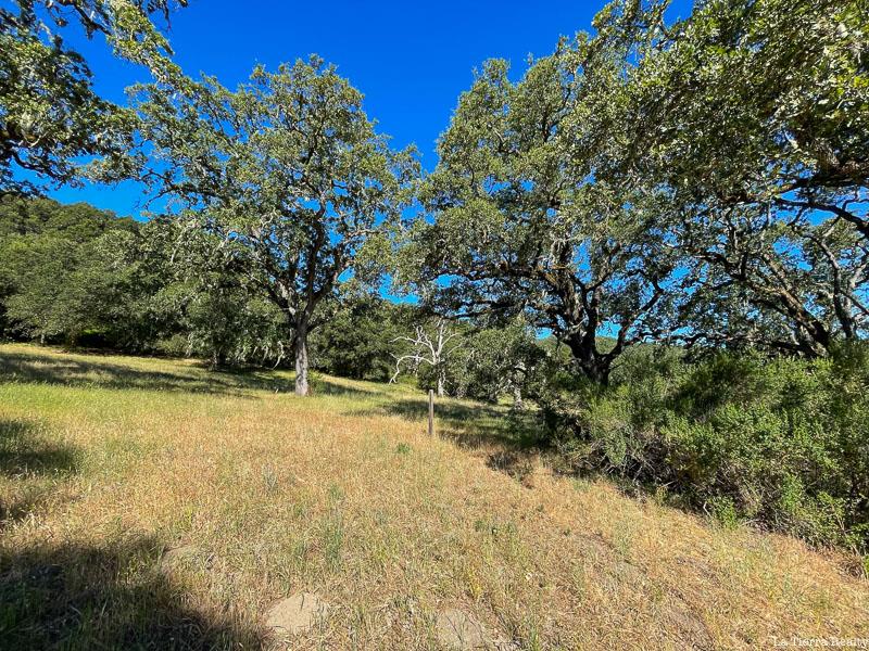 Detail Gallery Image 9 of 15 For 34221 Robinson Canyon Rd, Carmel,  CA 93923 - – Beds | – Baths