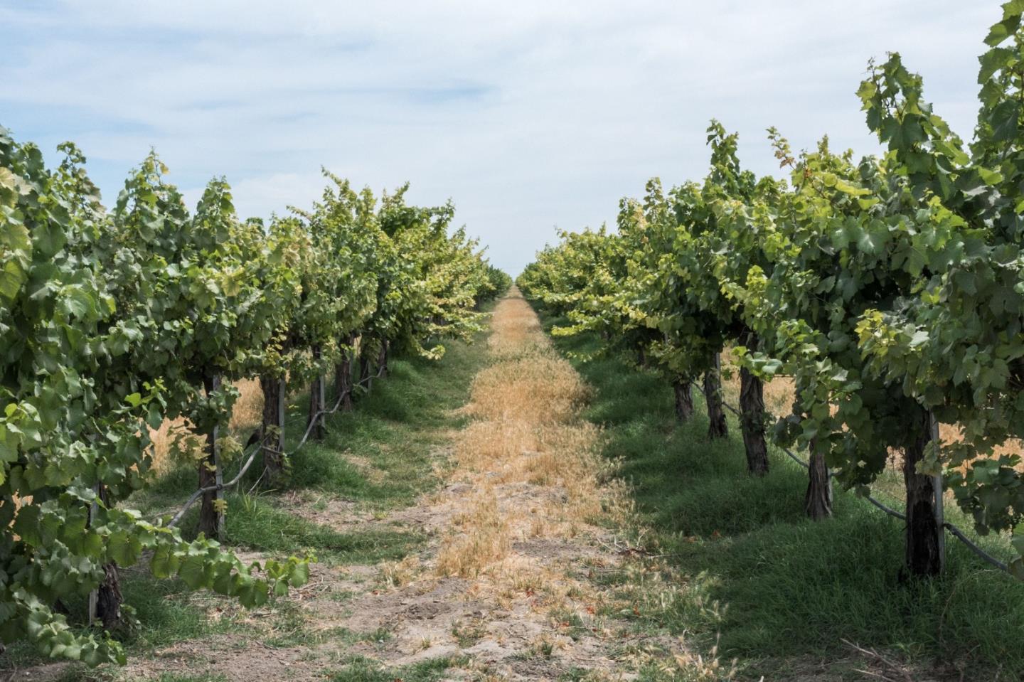 00 Novato Boulevard, Novato, CA, 94947