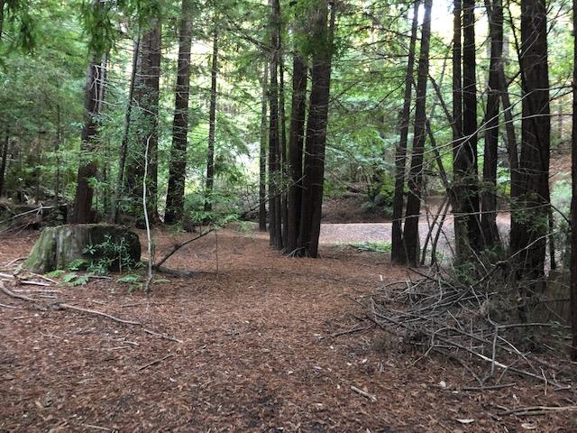 Detail Gallery Image 1 of 1 For 0 Timberwood Rd, Boulder Creek,  CA 95006 - – Beds | – Baths