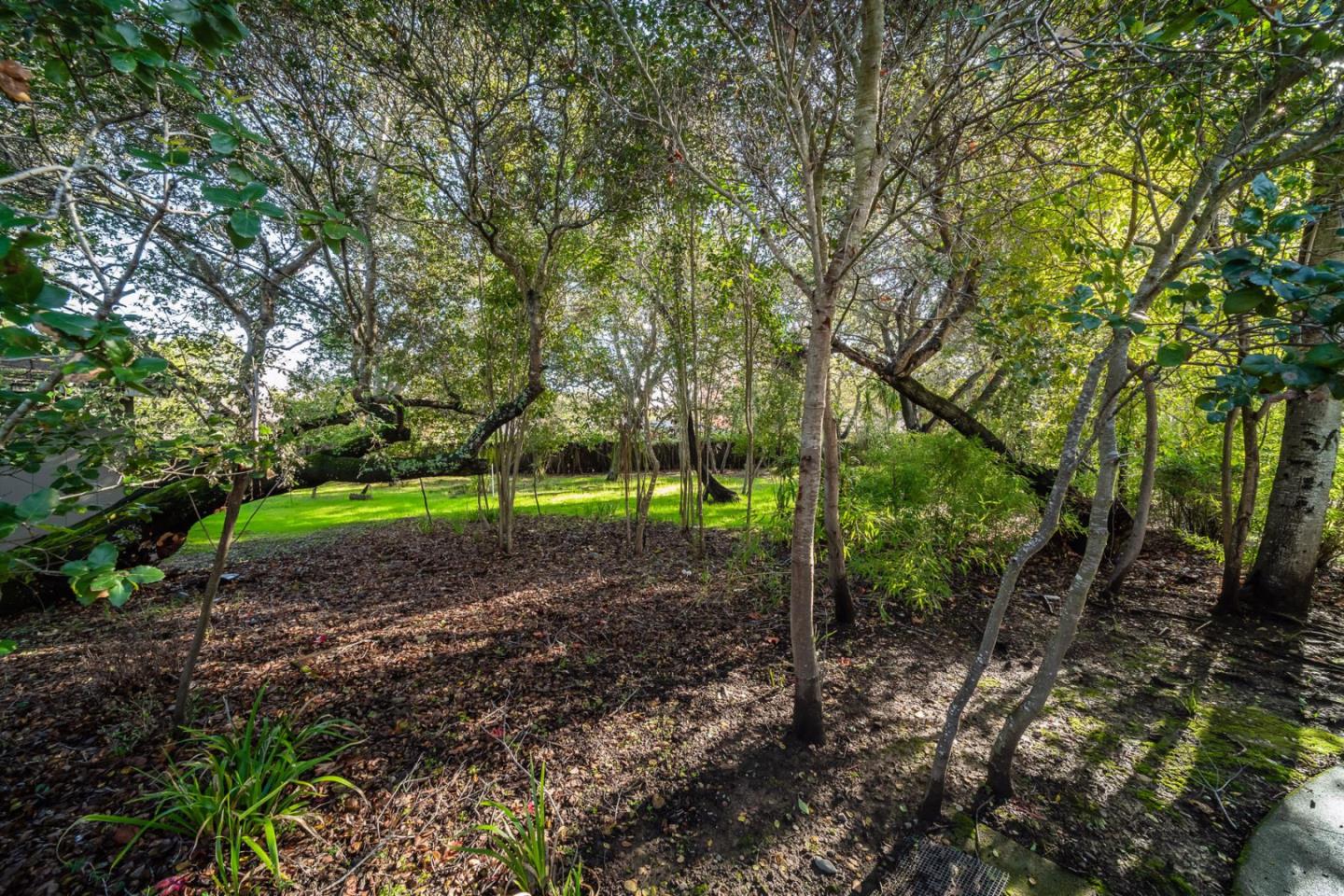 Detail Gallery Image 5 of 13 For 210 Uplands Dr, Hillsborough,  CA 94010 - – Beds | – Baths