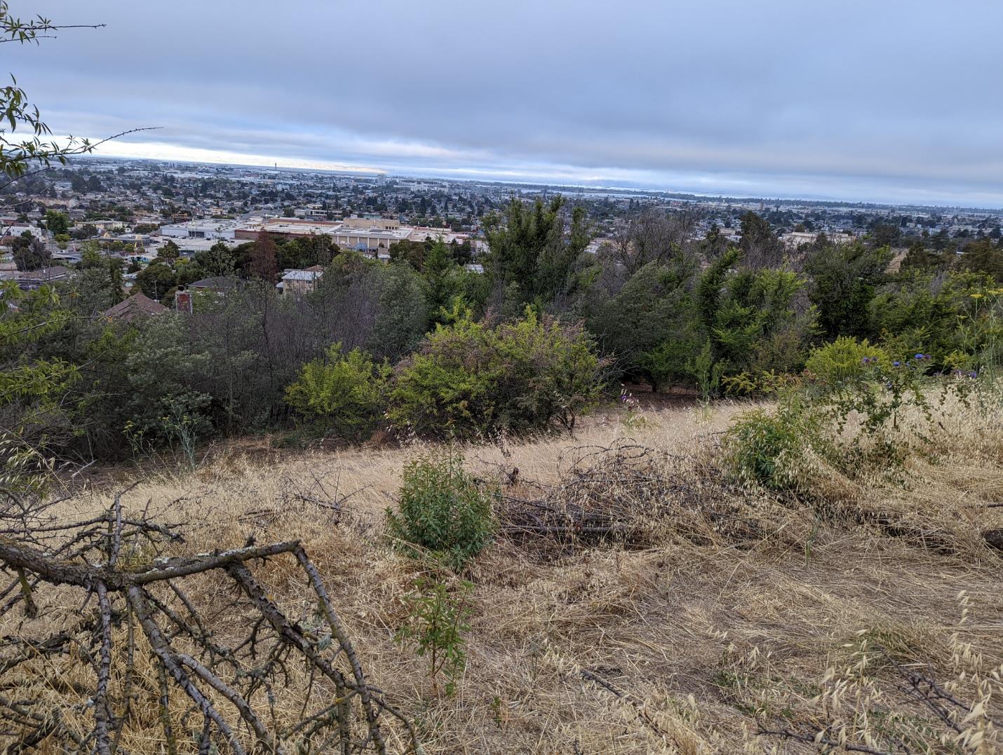 Detail Gallery Image 2 of 7 For 6930* Outlook Ave, Oakland,  CA 94605 - – Beds | – Baths