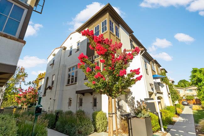 Detail Gallery Image 1 of 1 For 124 Sonoma Ter, Mountain View,  CA 94043 - 2 Beds | 2/1 Baths