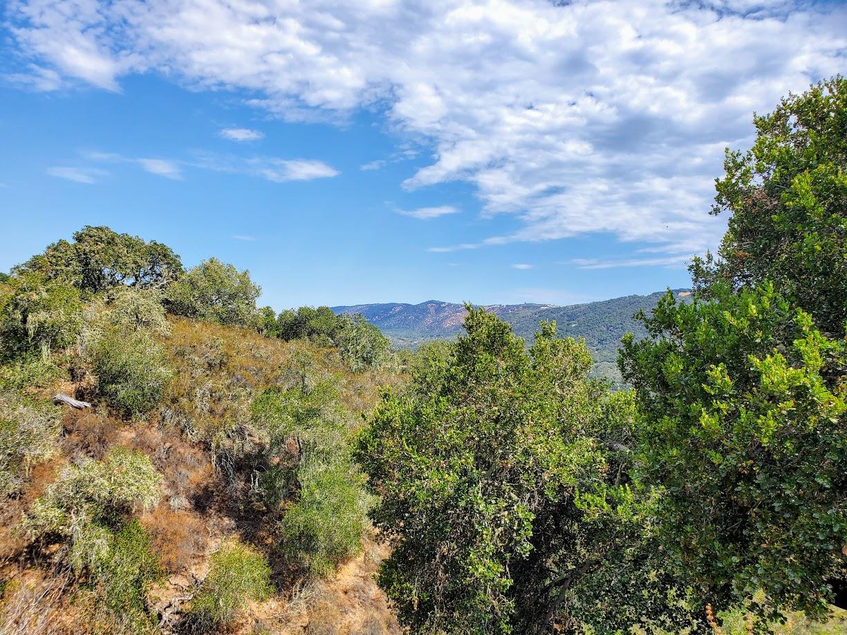 350 VIA LOS TULARES, Carmel Valley, California 93924, ,Land,For Sale,350 VIA LOS TULARES,ML81902544