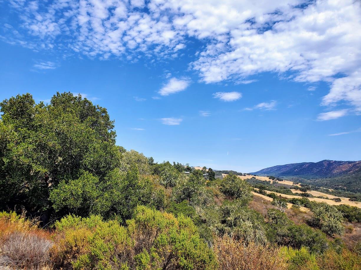 350 VIA LOS TULARES, Carmel Valley, California 93924, ,Land,For Sale,350 VIA LOS TULARES,ML81902544