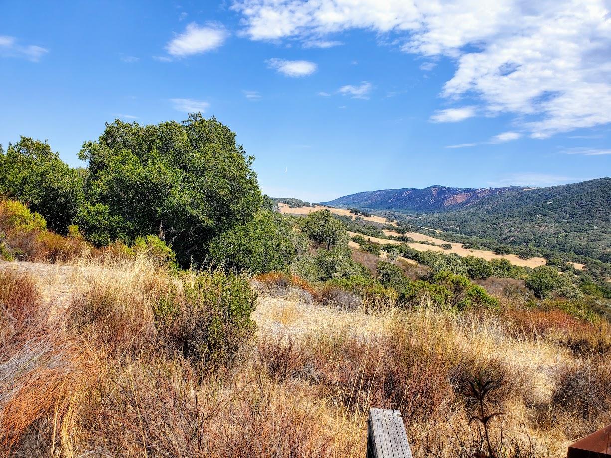 350 VIA LOS TULARES, Carmel Valley, California 93924, ,Land,For Sale,350 VIA LOS TULARES,ML81902544