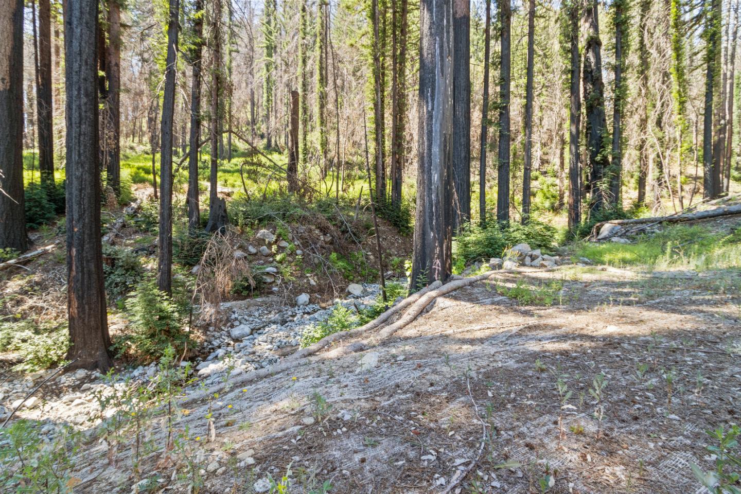 Detail Gallery Image 1 of 1 For 395 Boulder Brook Dr, Boulder Creek,  CA 95006 - – Beds | – Baths