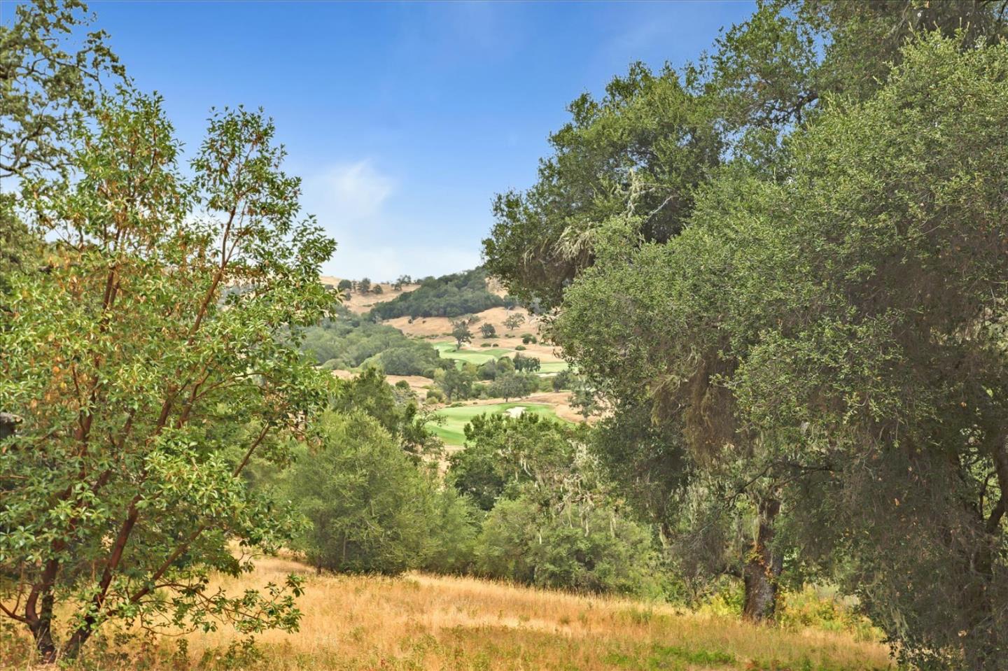 6 Arroyo Sequoia, Carmel, California 93923, ,Land,For Sale,6 Arroyo Sequoia,ML81903844