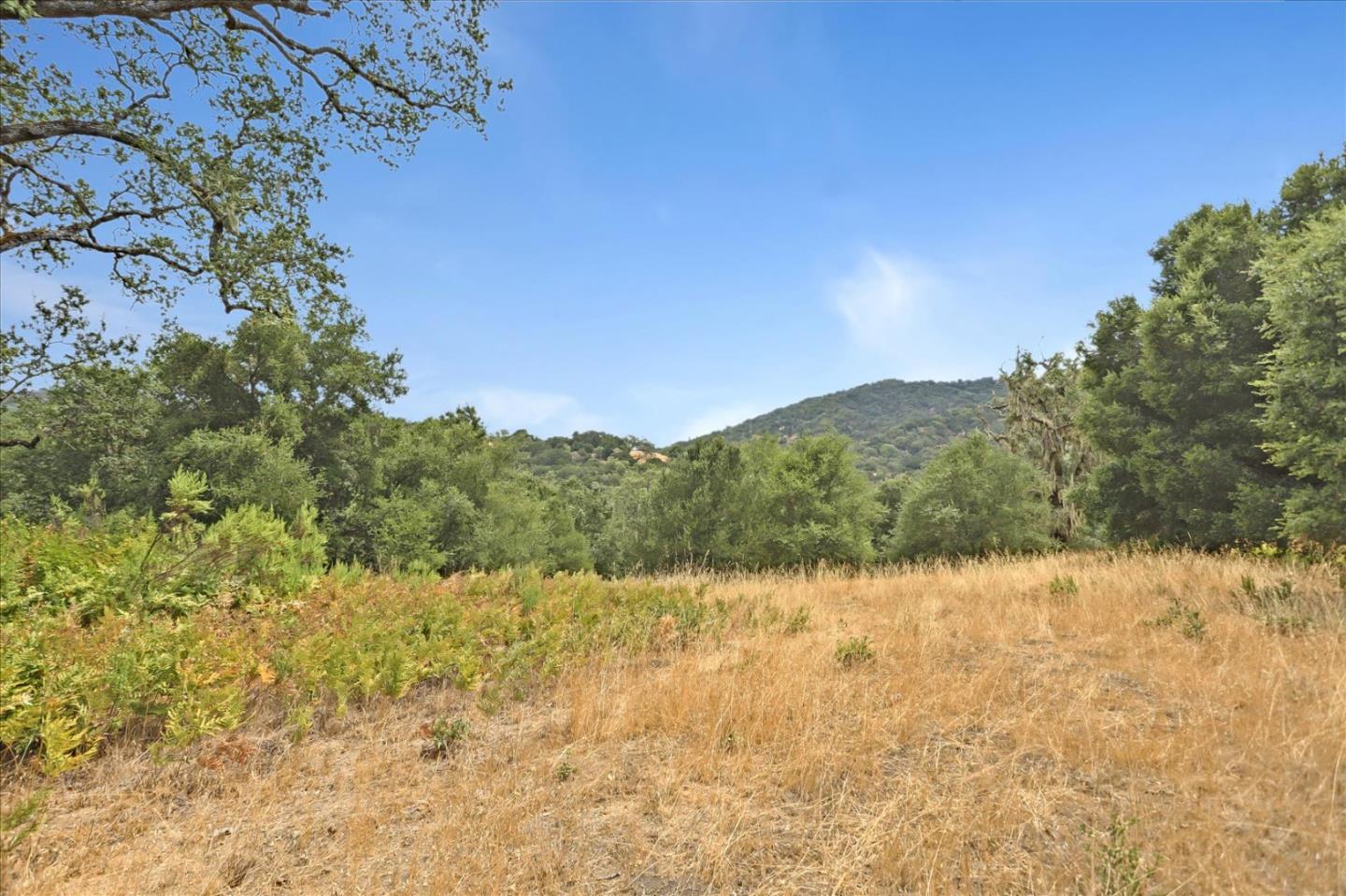 6 Arroyo Sequoia, Carmel, California 93923, ,Land,For Sale,6 Arroyo Sequoia,ML81903844