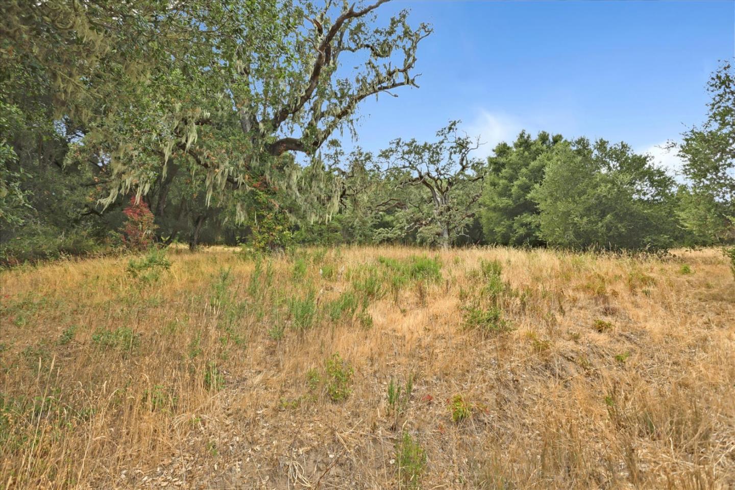 6 Arroyo Sequoia, Carmel, California 93923, ,Land,For Sale,6 Arroyo Sequoia,ML81903844