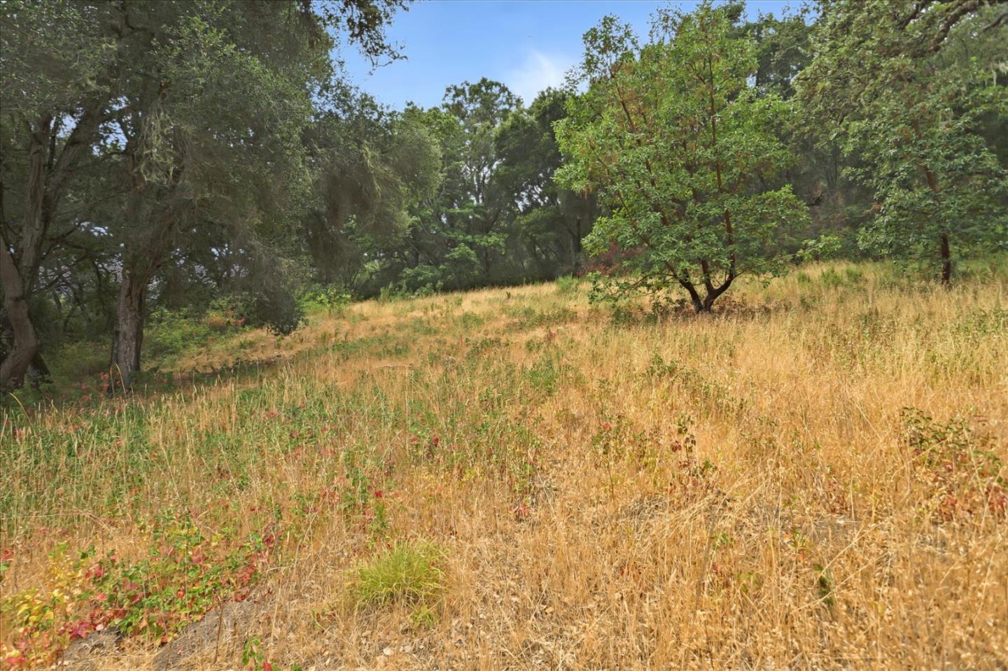 6 Arroyo Sequoia, Carmel, California 93923, ,Land,For Sale,6 Arroyo Sequoia,ML81903844