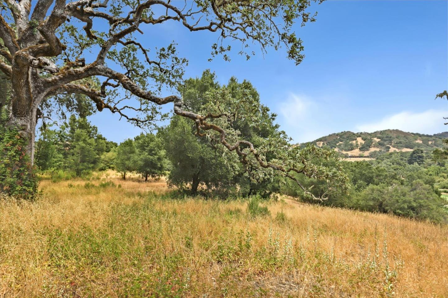 6 Arroyo Sequoia, Carmel, California 93923, ,Land,For Sale,6 Arroyo Sequoia,ML81903844