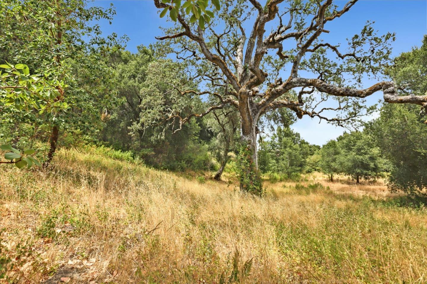 6 Arroyo Sequoia, Carmel, California 93923, ,Land,For Sale,6 Arroyo Sequoia,ML81903844