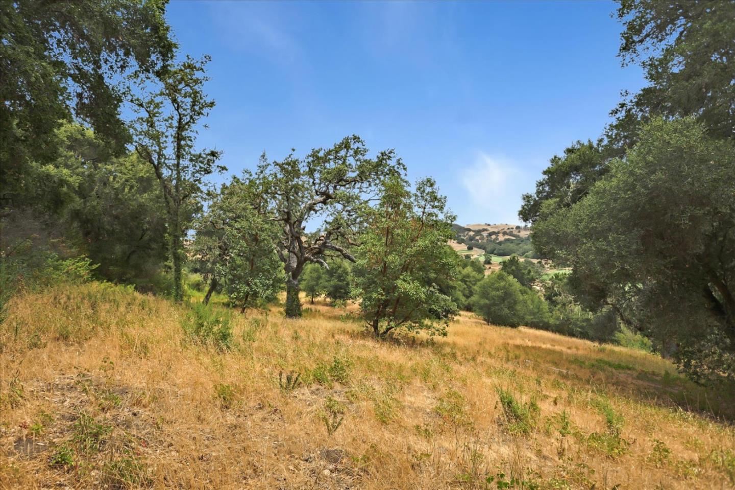 6 Arroyo Sequoia, Carmel, California 93923, ,Land,For Sale,6 Arroyo Sequoia,ML81903844