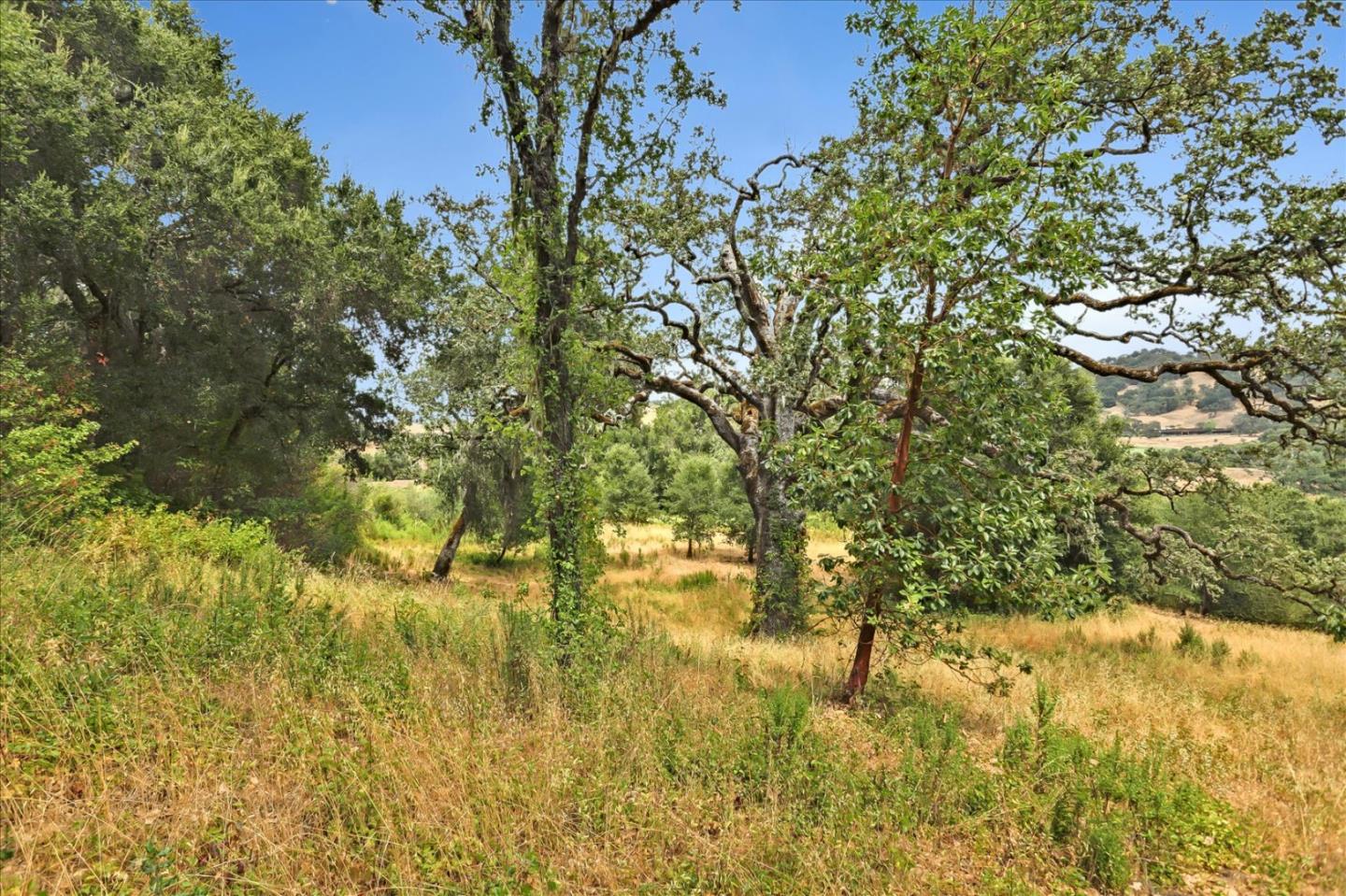 6 Arroyo Sequoia, Carmel, California 93923, ,Land,For Sale,6 Arroyo Sequoia,ML81903844