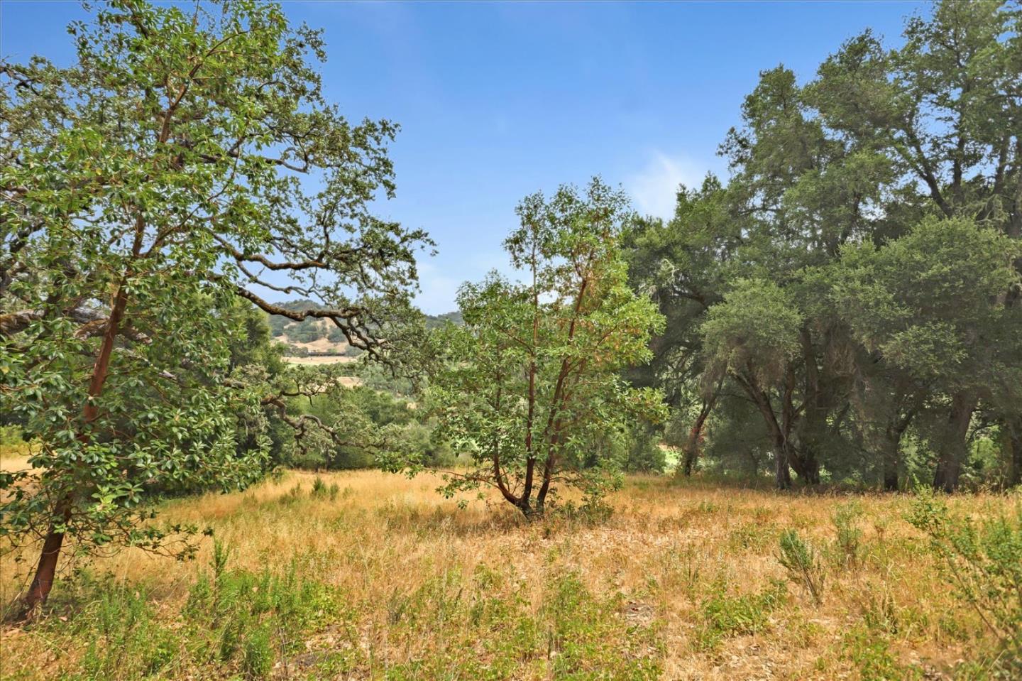 6 Arroyo Sequoia, Carmel, California 93923, ,Land,For Sale,6 Arroyo Sequoia,ML81903844