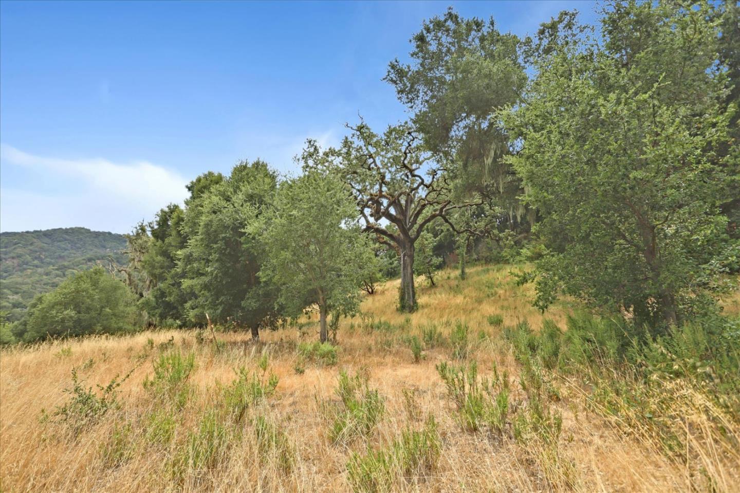 6 Arroyo Sequoia, Carmel, California 93923, ,Land,For Sale,6 Arroyo Sequoia,ML81903844