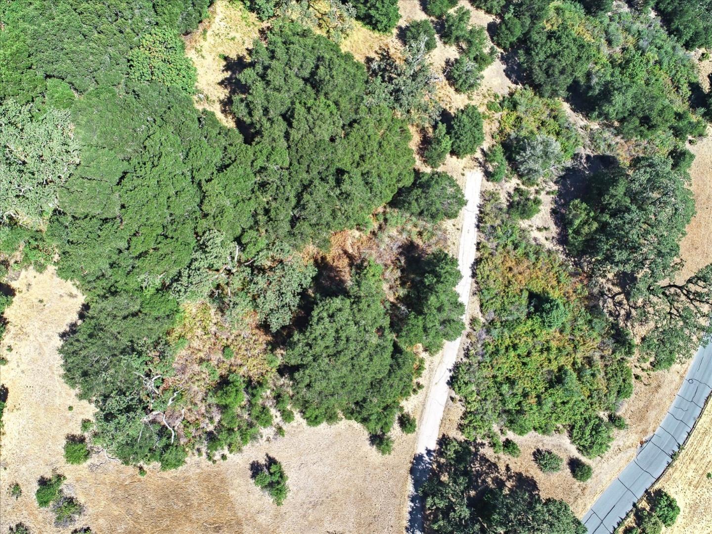 6 Arroyo Sequoia, Carmel, California 93923, ,Land,For Sale,6 Arroyo Sequoia,ML81903844