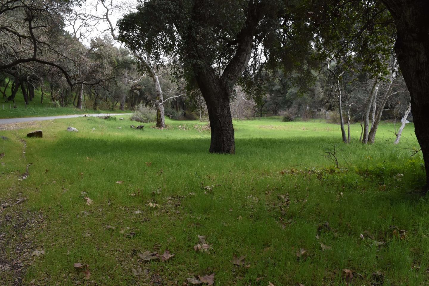 000 Corner of Nason and Cachagua Road, Carmel Valley, California 93924, ,Commercial Land,For Sale,000 Corner of Nason and Cachagua Road,ML81904115