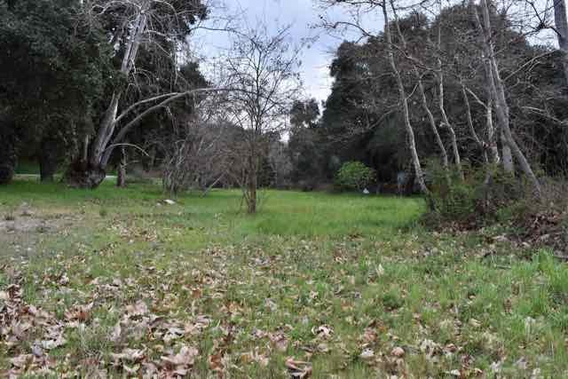 000 Corner of Nason and Cachagua Road, Carmel Valley, California 93924, ,Commercial Land,For Sale,000 Corner of Nason and Cachagua Road,ML81904115