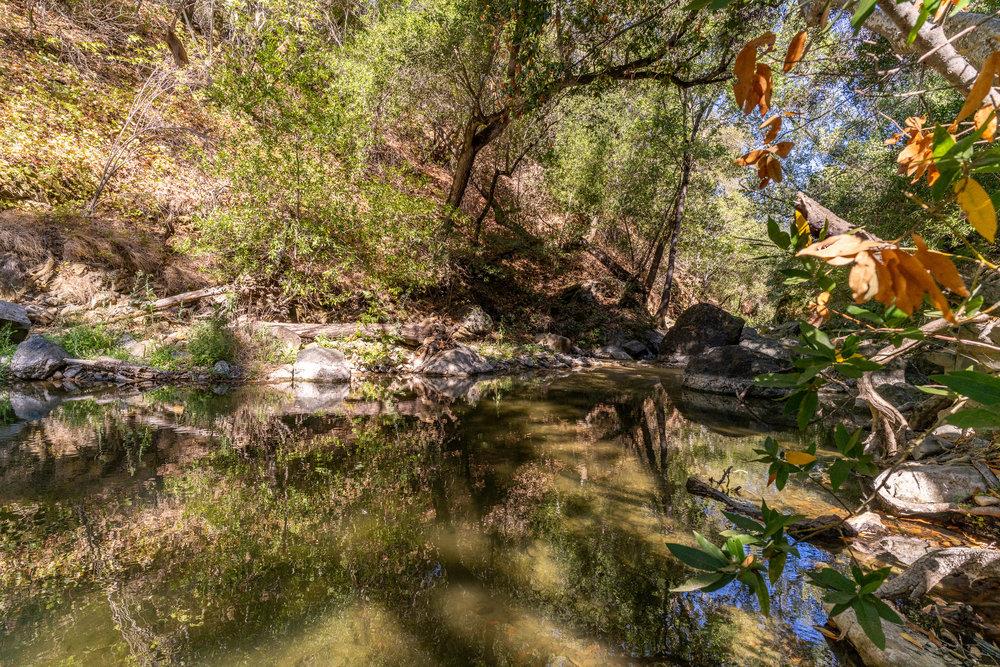 Detail Gallery Image 10 of 48 For 0 Pacheco Pass Hwy, Gilroy,  CA 95020 - – Beds | – Baths