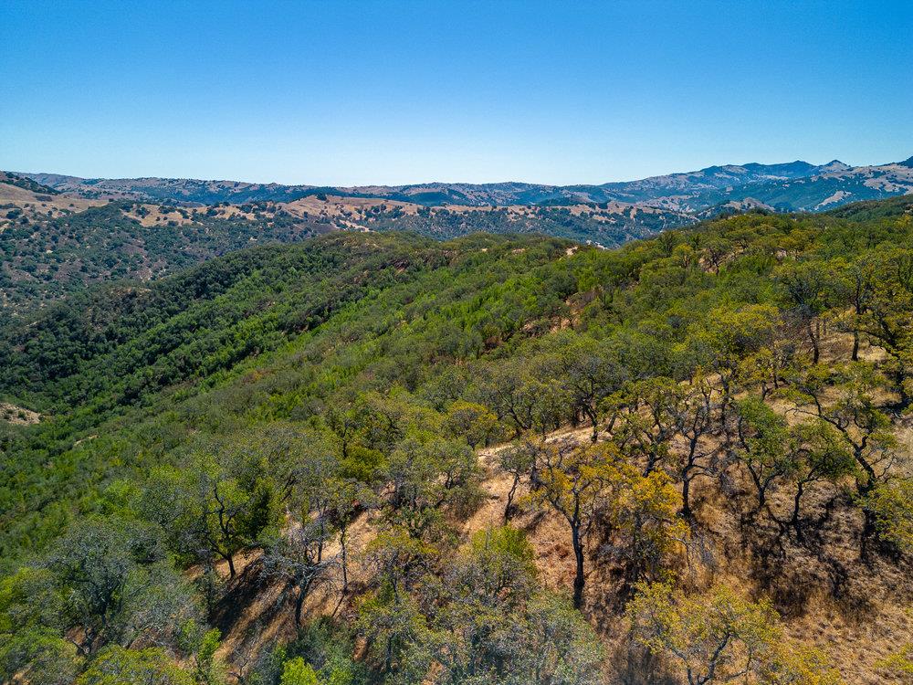 Detail Gallery Image 33 of 48 For 0 Pacheco Pass Hwy, Gilroy,  CA 95020 - – Beds | – Baths