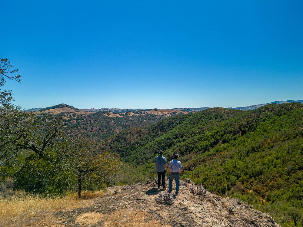 Detail Gallery Image 38 of 48 For 0 Pacheco Pass Hwy, Gilroy,  CA 95020 - – Beds | – Baths