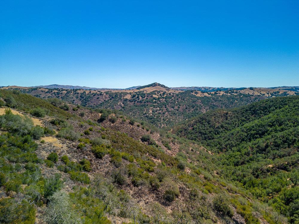 Detail Gallery Image 39 of 48 For 0 Pacheco Pass Hwy, Gilroy,  CA 95020 - – Beds | – Baths
