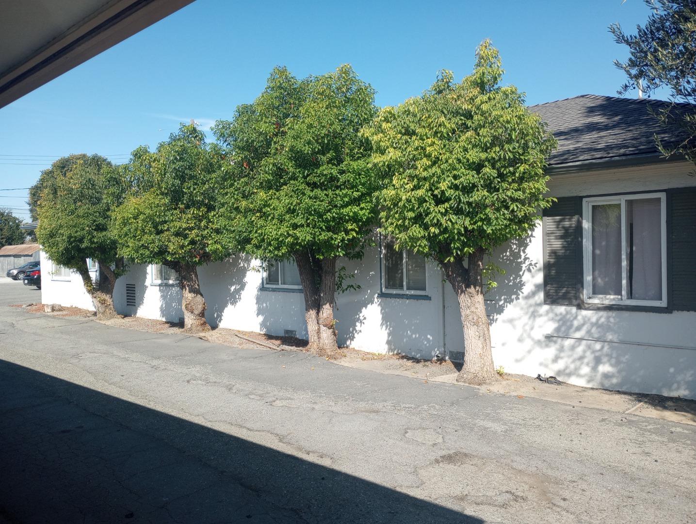 Detail Gallery Image 9 of 10 For 956 San Benito St, Hollister,  CA 95023 - – Beds | – Baths