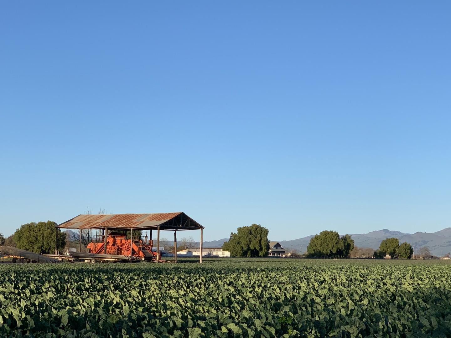 Detail Gallery Image 2 of 24 For Flint Rd, San Juan Bautista,  CA 95045 - 3 Beds | 1 Baths