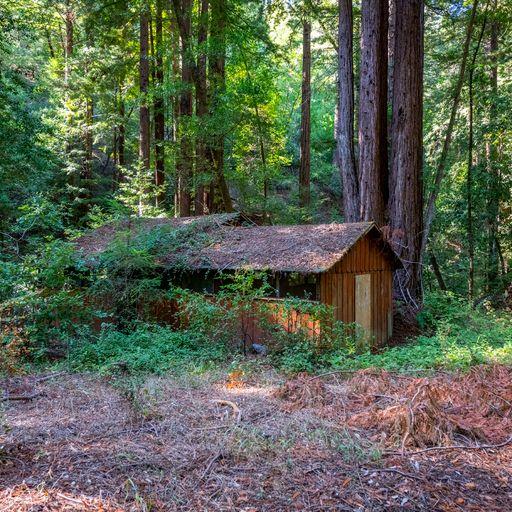 Detail Gallery Image 13 of 64 For 2372 Mckenzie Creek, Scotts Valley,  CA 95066 - – Beds | – Baths