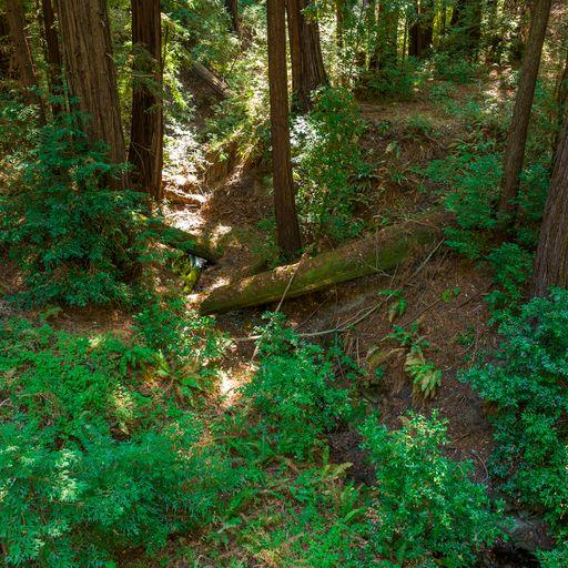 Detail Gallery Image 18 of 64 For 2372 Mckenzie Creek, Scotts Valley,  CA 95066 - – Beds | – Baths
