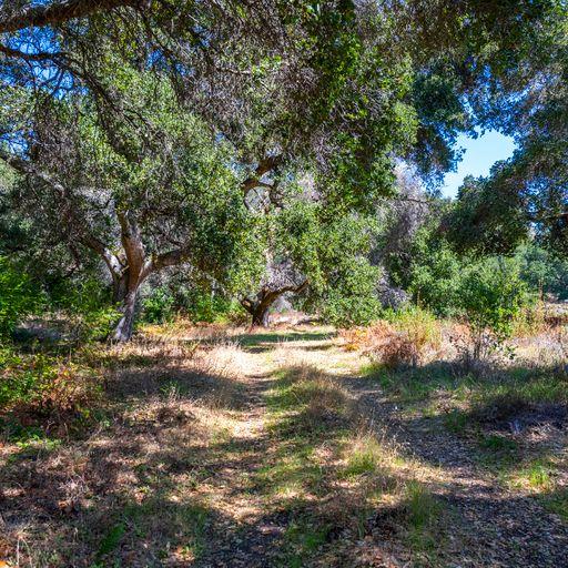 Detail Gallery Image 6 of 64 For 2372 Mckenzie Creek, Scotts Valley,  CA 95066 - – Beds | – Baths