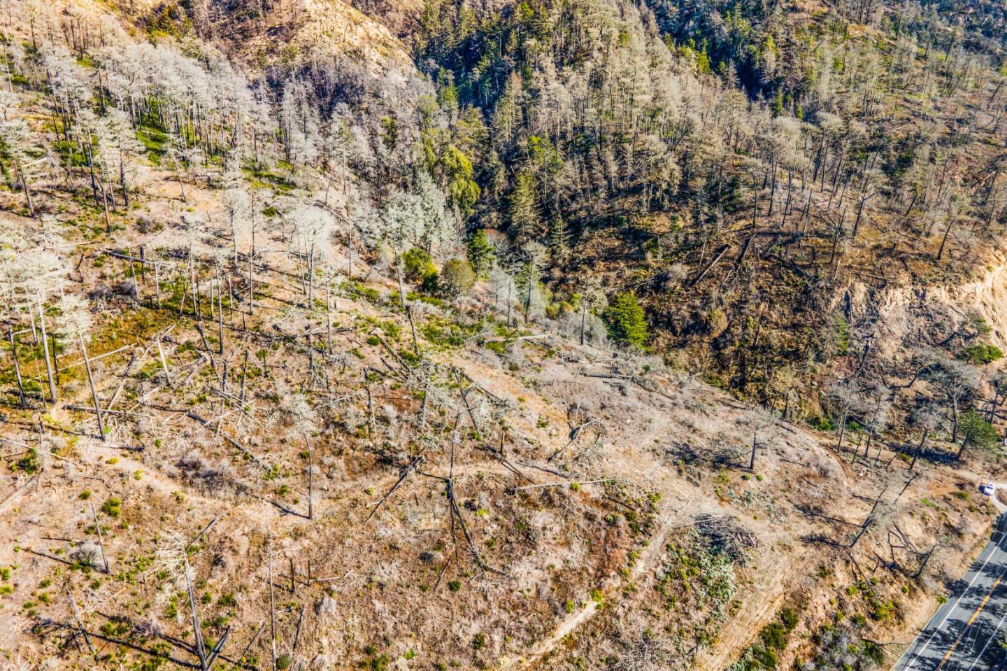 3744 Hwy 1, Davenport, CA, 95017