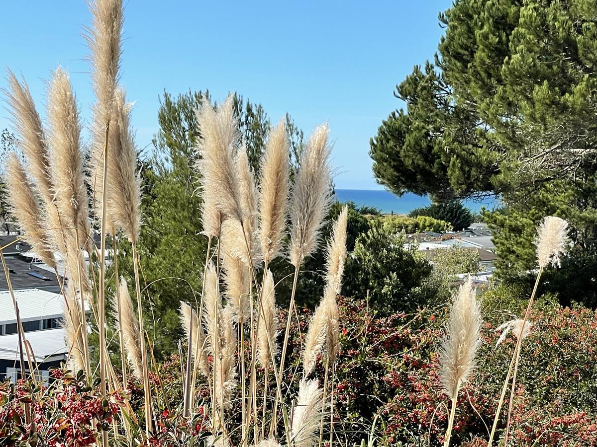 Detail Gallery Image 1 of 1 For 3 Oceanview Ave #3,  Half Moon Bay,  CA 94019 - 2 Beds | 2 Baths