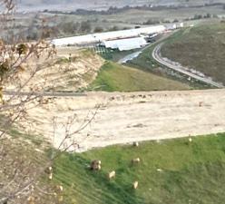 Detail Gallery Image 4 of 7 For Address Not Disclosed, Paso Robles,  CA 93446 - – Beds | – Baths
